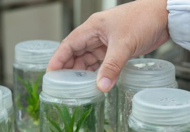 Enable modern techniques in Tissue Culture